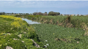 Water Footprint Implementation - Schermafbeelding 2025-04-02 152443